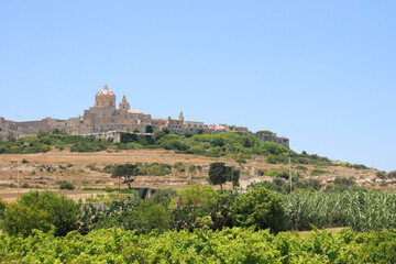 Fototapeta na wymiar historic town of Mdina and landscape in Malta