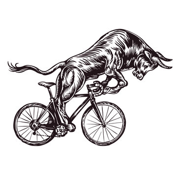 Stylish bull on a bicycle symbol of 2021 vector sketch print for t-shirt logo