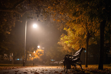 Alley with benches in an autumn park at night with the light of lanterns
