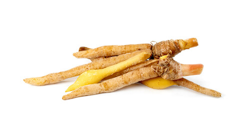 finger root or Chinese's Ginger isolated on the white background.