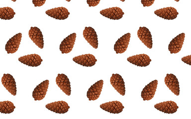 close up  pine cones isolated white background
