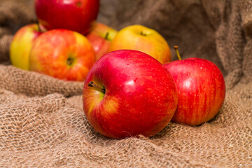 beautiful red and yellow apples