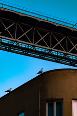 Early in the morning, Dom Luis Bridge at Porto, Portugal