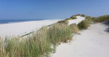 Fototapeta na wymiar North sea beach, Ameland, Dutch.