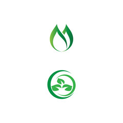 Leaf Logo Template vector symbol