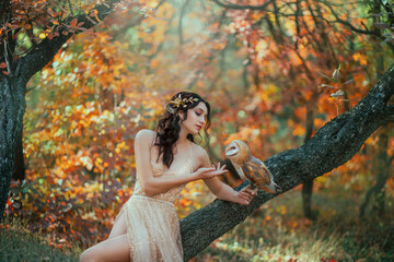 autumn fairy tale. Fantasy woman sitting on tree branch with a barn owl. Forest nymph girl holds a...