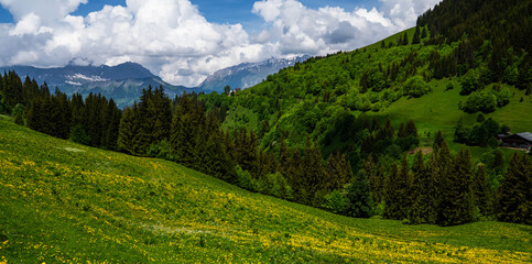 Spring landscape with flowers meadow and mountains. Panoramic view of idyllic mountain scenery in the Alps with fresh green meadows in bloom on a beautiful sunny day in springtime. © eskstock
