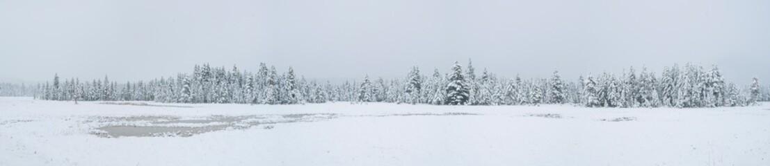 Obraz premium Snowing, Yellowstone National Park, Unesco World Heritage Site, Wyoming, Usa, America