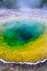Morning Glory Pool, Upper Geyser Basin, Yellowstone National Park, Unesco World Heritage Site, Wyoming, Usa, America
