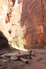Zion parc avec canyon et rivère