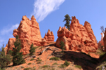 Brice canyon et hoodoos
