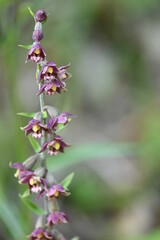 Geo-Lehrpfad bei Achenkirch