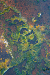 Hot Spring, Old Fatithful Area, Yellowstone National Park, Unesco World Heritage Site, Wyoming, Usa, America