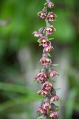 Geo-Lehrpfad bei Achenkirch