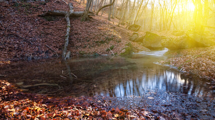 Fototapeta na wymiar small pond on a mountain river in a light of sun