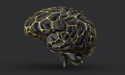 digital brain 3d neurology rendering