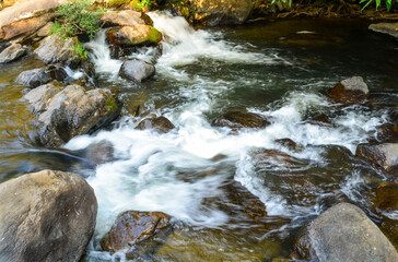 stream in the forest