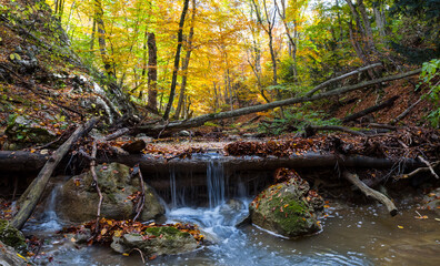 Naklejka na ściany i meble small creek in a mountain canyon, autumn natural scene