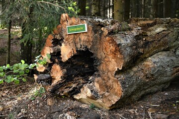 Wandern in Thüringen - An der ehemaligen Schnapsbucke , einem beliebten Rastplatz bei Tambach Dietharz.