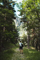 Obraz premium Adult male hiker walking through the forest on a warm sunny day