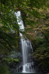 大阪箕面公園　日本の滝100選　箕面大滝
