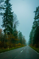 Fototapeta na wymiar autumn road with foggy trees