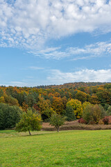 Herbst an der Bergstraße