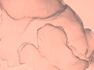 Obraz na płótnie Canvas Marble Illustration. Dreamy Pink Illustration.
