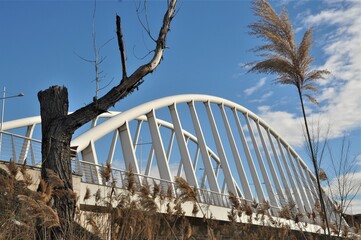 Puente de la Peraleda en Toledo