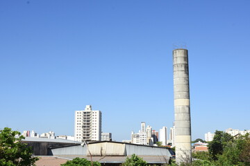 Fototapeta na wymiar plant in the city