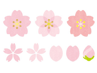 手書き風かわいい桜の花-cute cherry blossoms