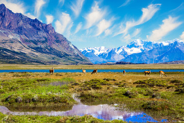 Los Glaciares in Argentina