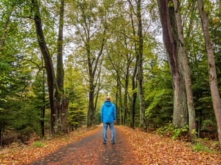 Lonely Blue Man in Nature during golden Autumn forest environment