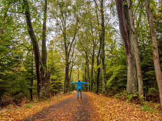 Fototapeta premium Lonely Blue Man in Nature during golden Autumn forest environment