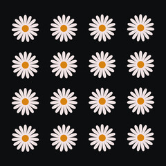 Cute fairy set of camomiles