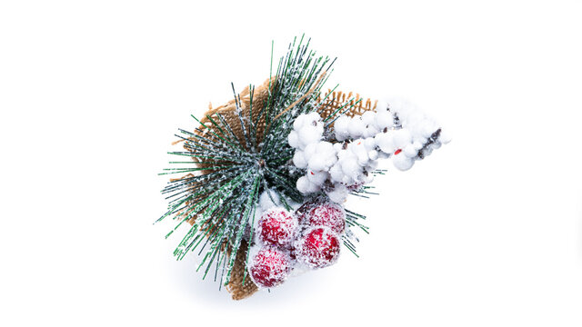  Christmas fir tree mini composition on white background. High quality photo