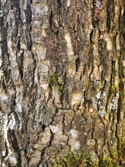 texture