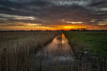 A water canal with reeds and a beautiful sunset