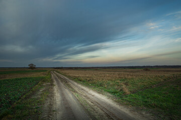 Fototapeta na wymiar Sandy road through fields and evening clouds