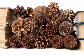 Christmas background with cones and vintage books on white background.