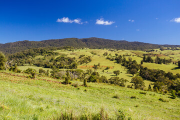 Atherton Tablelands on a Misty Morning