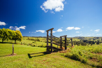 Atherton Tablelands on a Misty Morning