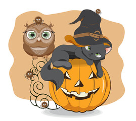 Halloween black cat on pumpkin in hat and owl