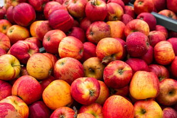 Fototapeta na wymiar Colorful apples in an open market