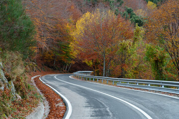 Naklejka premium Carretera de montaña 1