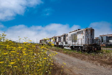 Fototapeta premium Abandoned Railway Locomotives