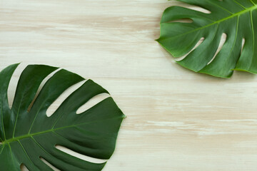Tropical green leaves of monstera plant and white field for text on background, on wooden background