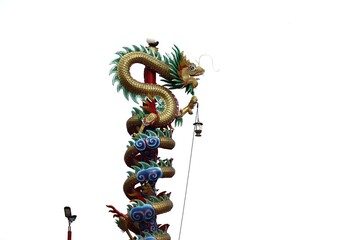 chinese new year dragon