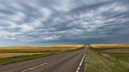 Fototapeta na wymiar Highway and Wheat Fields in North Dakota