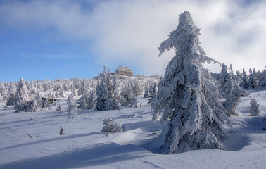 Zima na Szrenicy, Karkonosze © Małgorzata